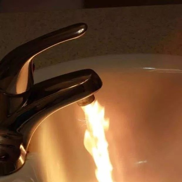 Meet your Posher, Jasper - Picture 1 of 1